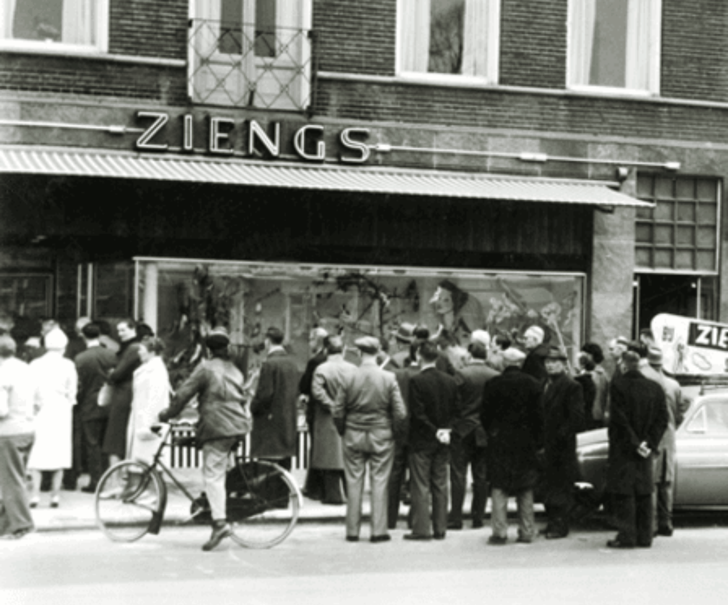 Zendigs Ziengs